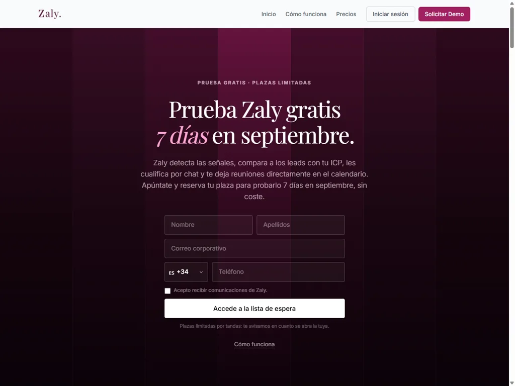 Web de Zaly, prospección de ventas B2B con IA